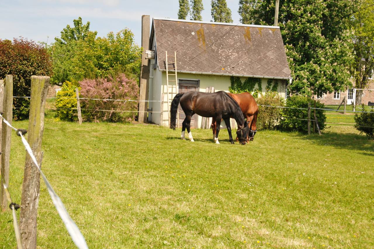 Bella dimora equestre In vendita Calvados