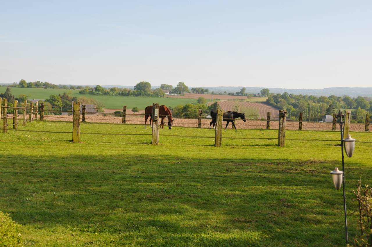 Bella dimora equestre In vendita Calvados