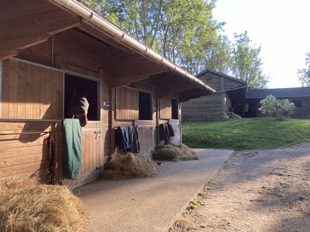 Scuderia per proprietari In vendita Val-d'Oise