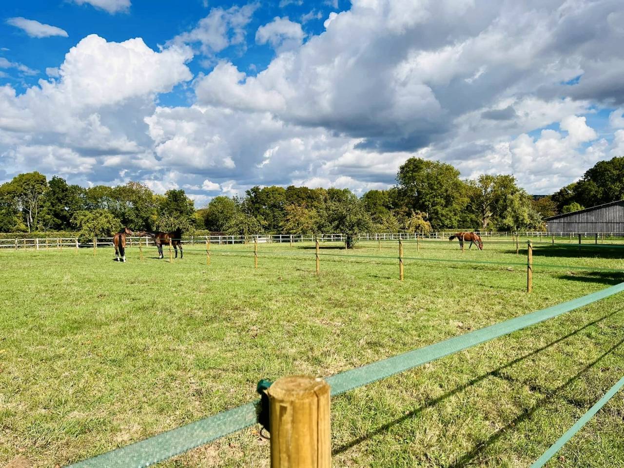 Scuderia per proprietari In vendita Val-d'Oise