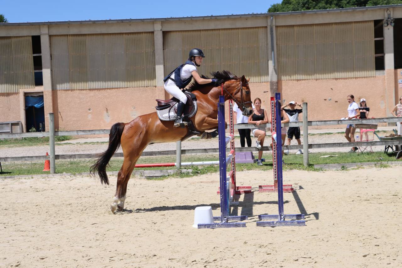 Castrone PFS Pony Francese da Sella In vendita 2018 Baio ,  Lennicha de Florys