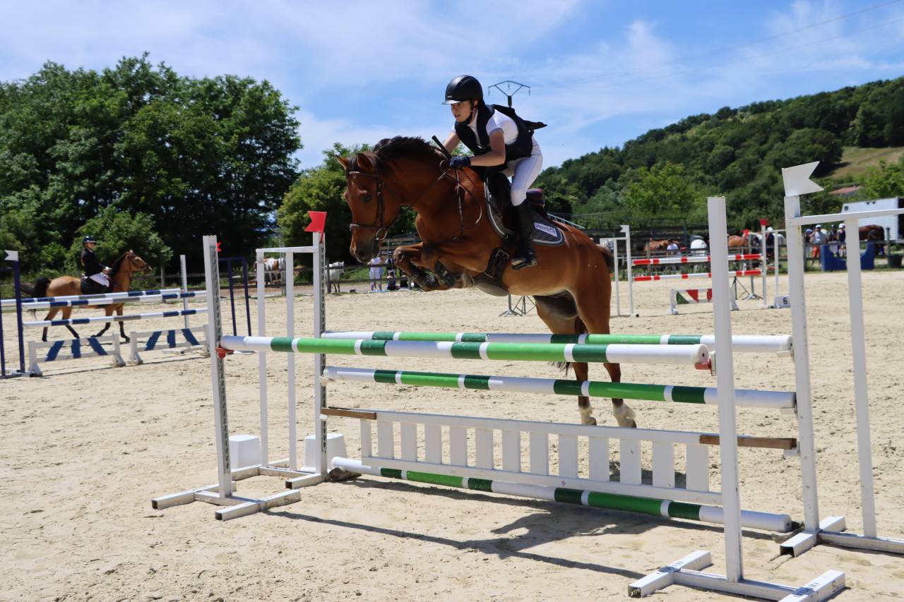 Castrone PFS Pony Francese da Sella In vendita 2018 Baio ,  Lennicha de Florys