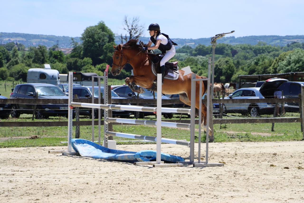 Castrone PFS Pony Francese da Sella In vendita 2018 Baio ,  Lennicha de Florys