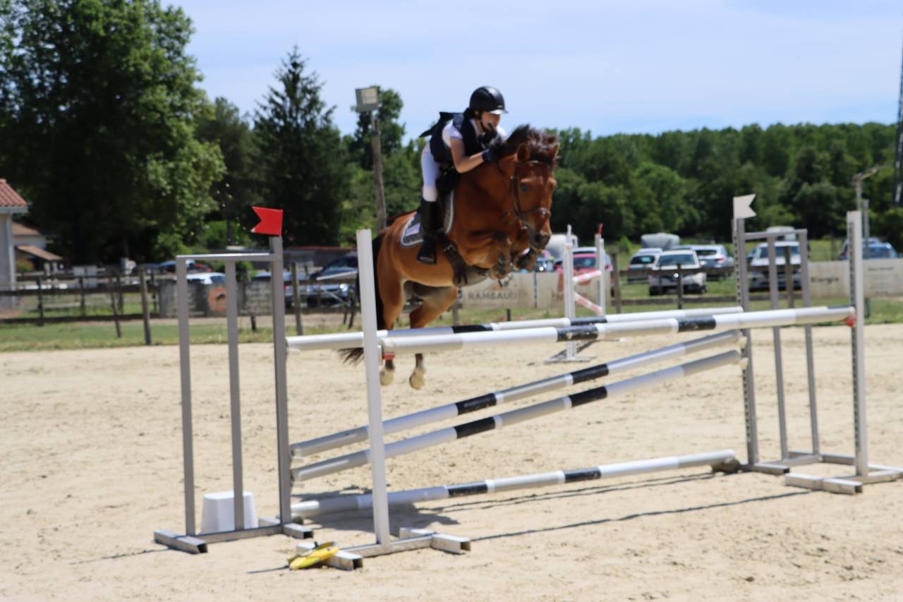 Castrone PFS Pony Francese da Sella In vendita 2018 Baio ,  Lennicha de Florys
