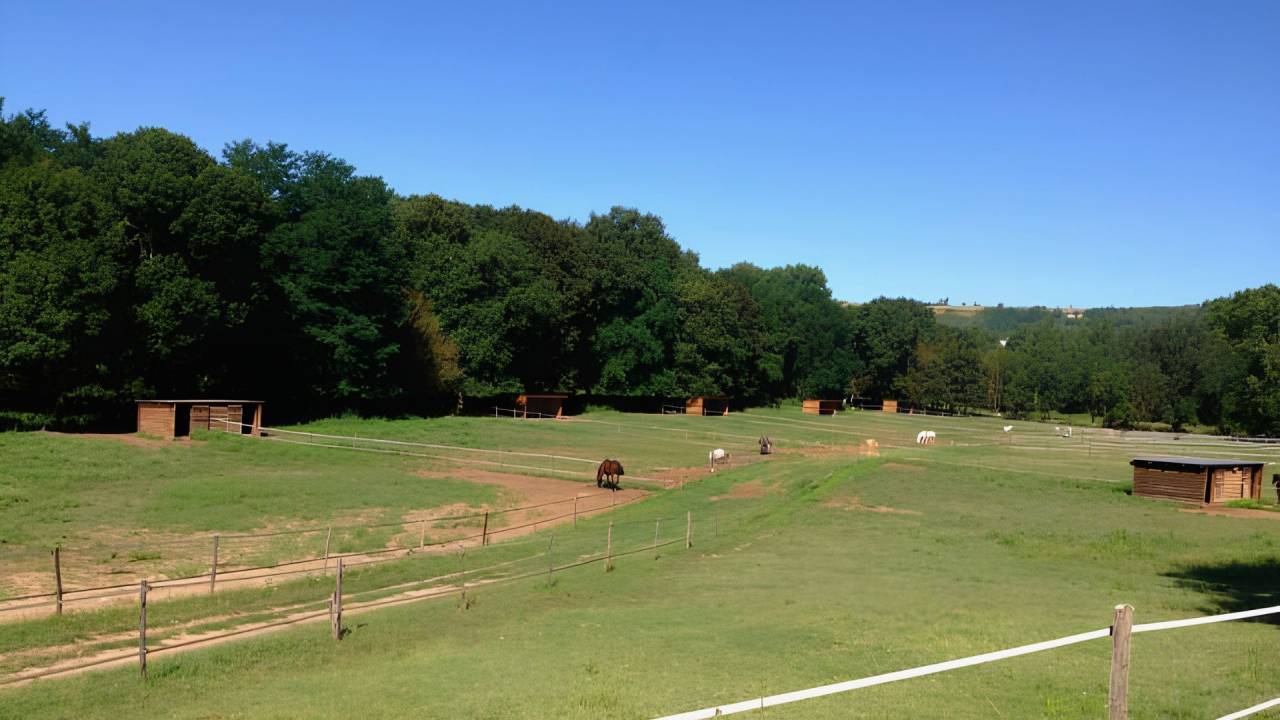 Propriet&agrave; equestre In vendita tarn