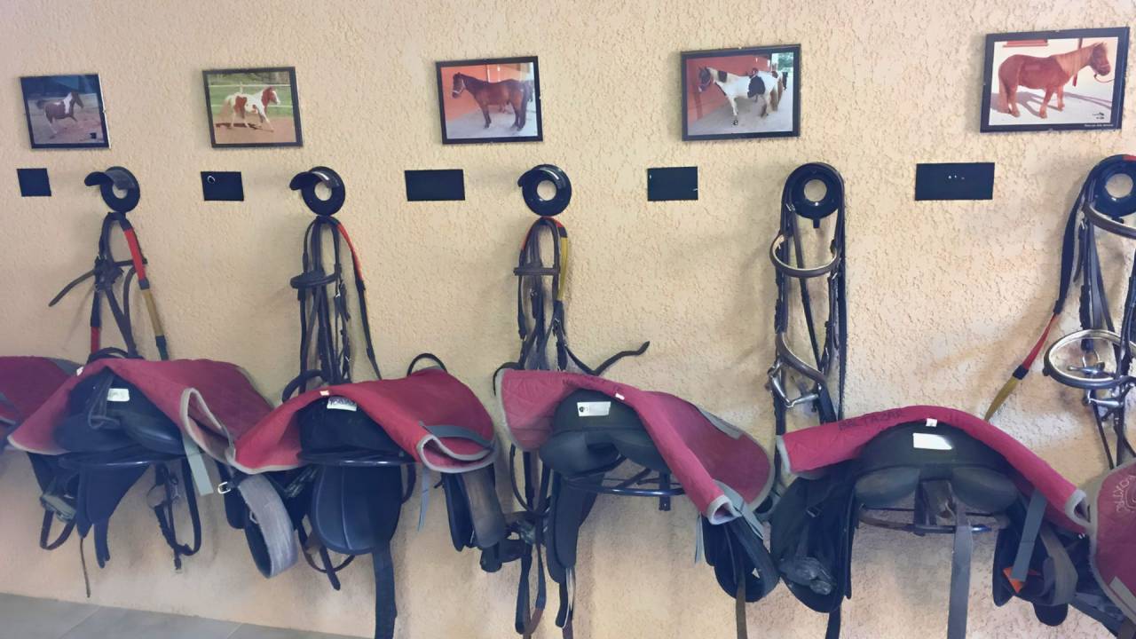 Propriet&agrave; equestre In vendita tarn