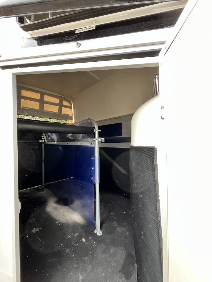 Trailer Bockmann CHAMPION R 2 Cavalli 2025 Nuovo