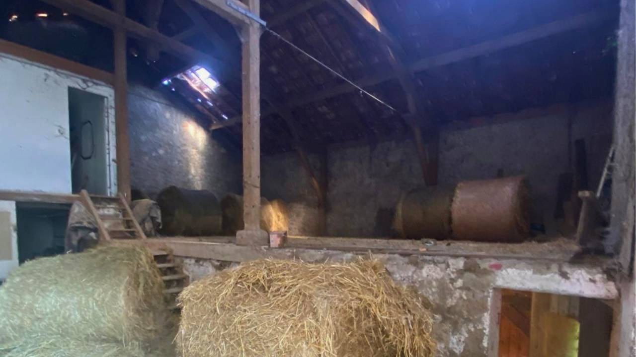 Propriet&agrave; equestre In vendita Lot-et-Garonne