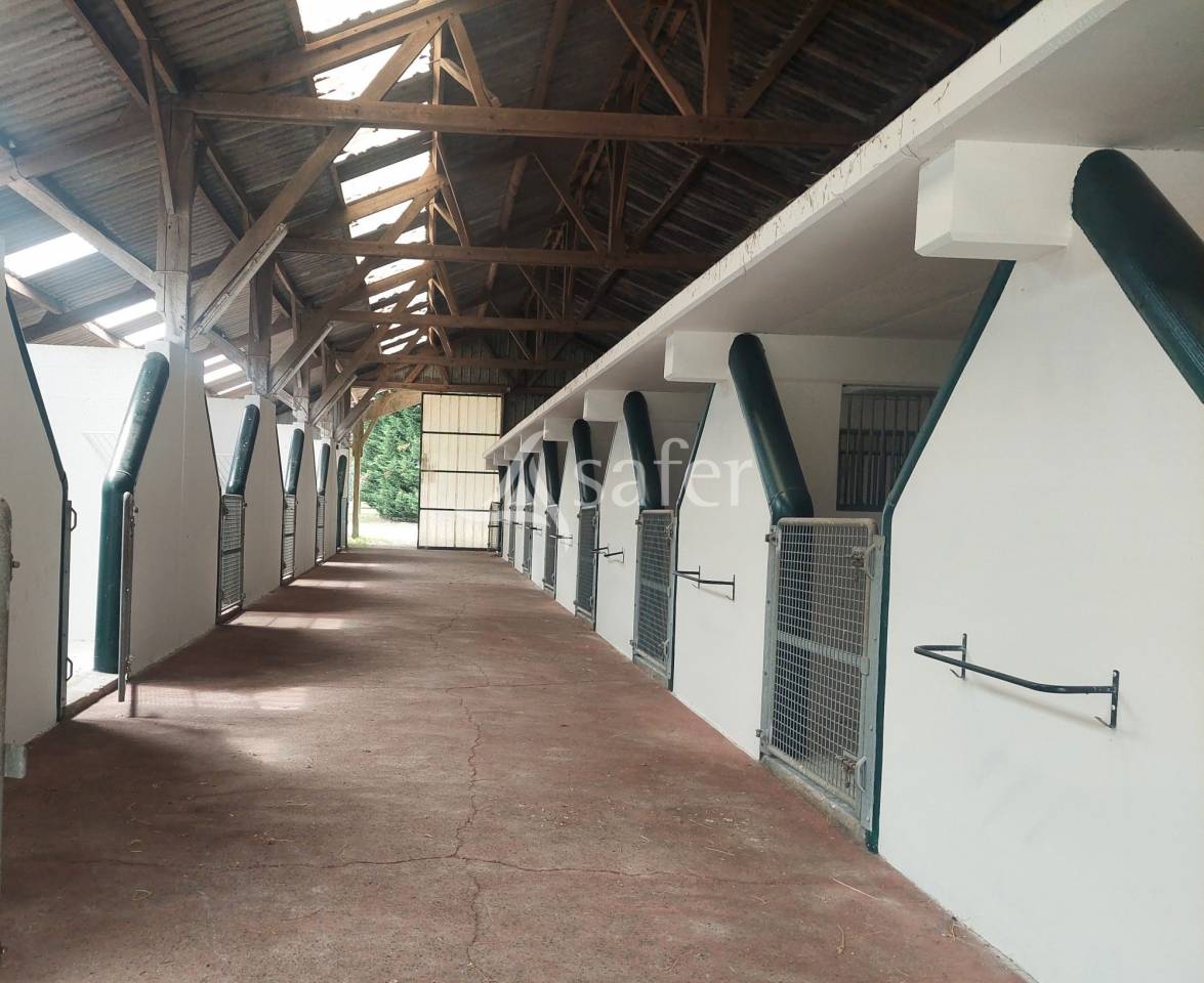 Propriet&agrave; equestre In vendita Loire-Atlantique