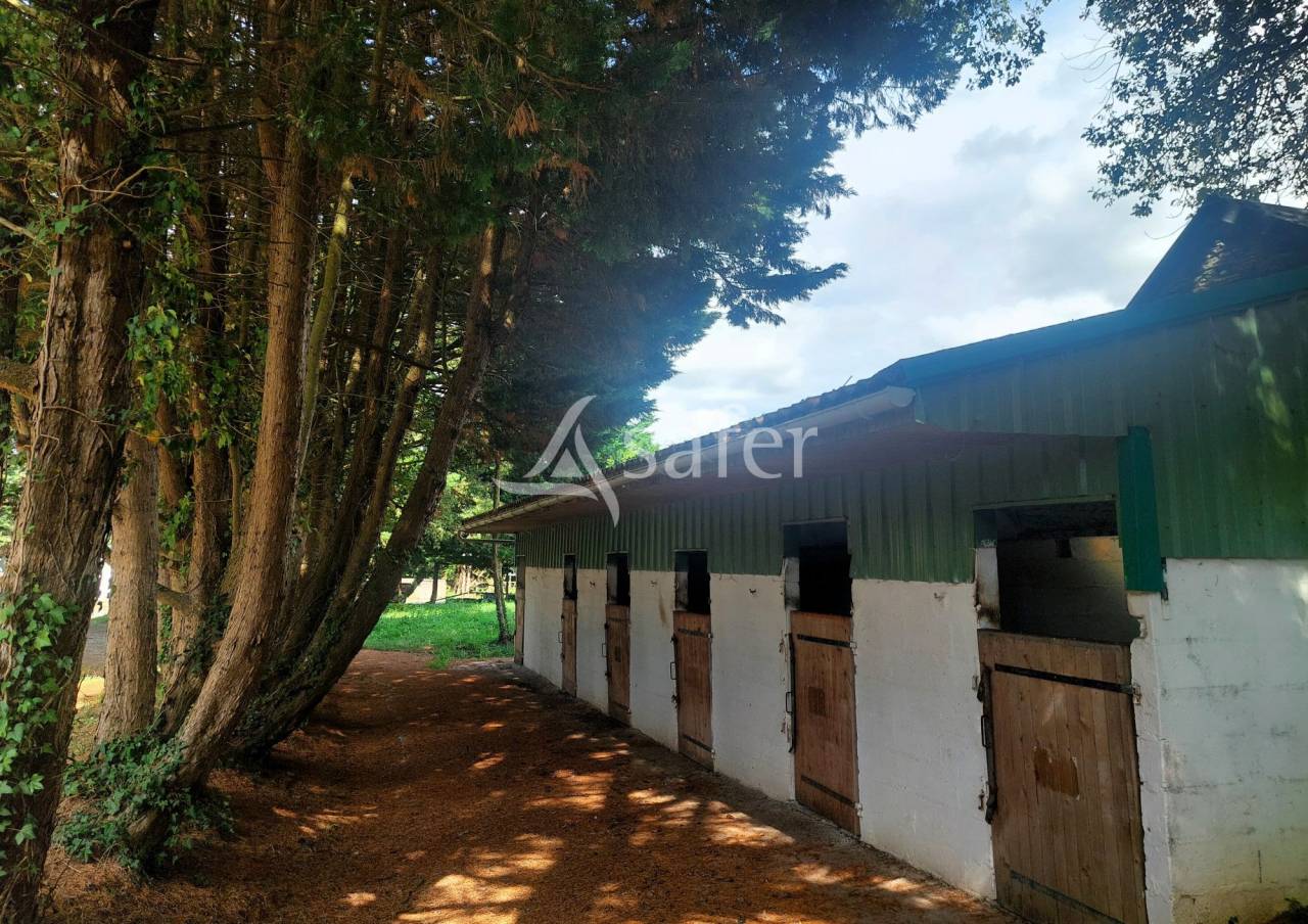 Propriet&agrave; equestre In vendita Loire-Atlantique