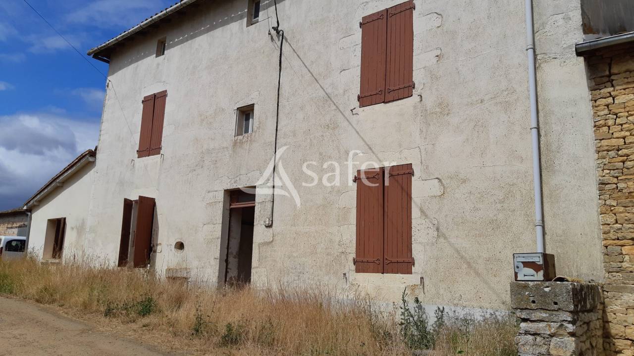 Azienda ovina In vendita Deux-S&egrave;vres