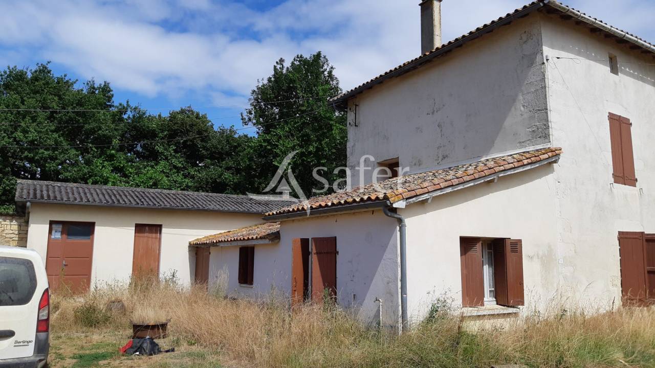 Azienda ovina In vendita Deux-S&egrave;vres