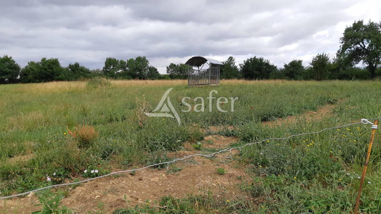 Azienda ovina In vendita Deux-S&egrave;vres