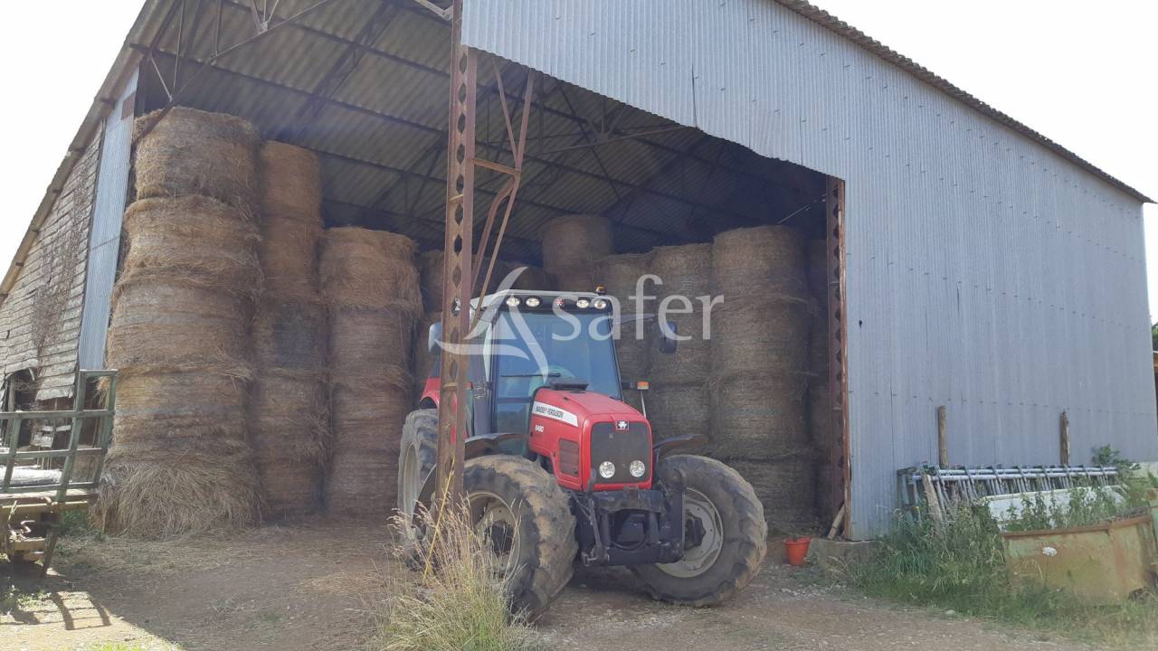 Azienda ovina In vendita Deux-S&egrave;vres