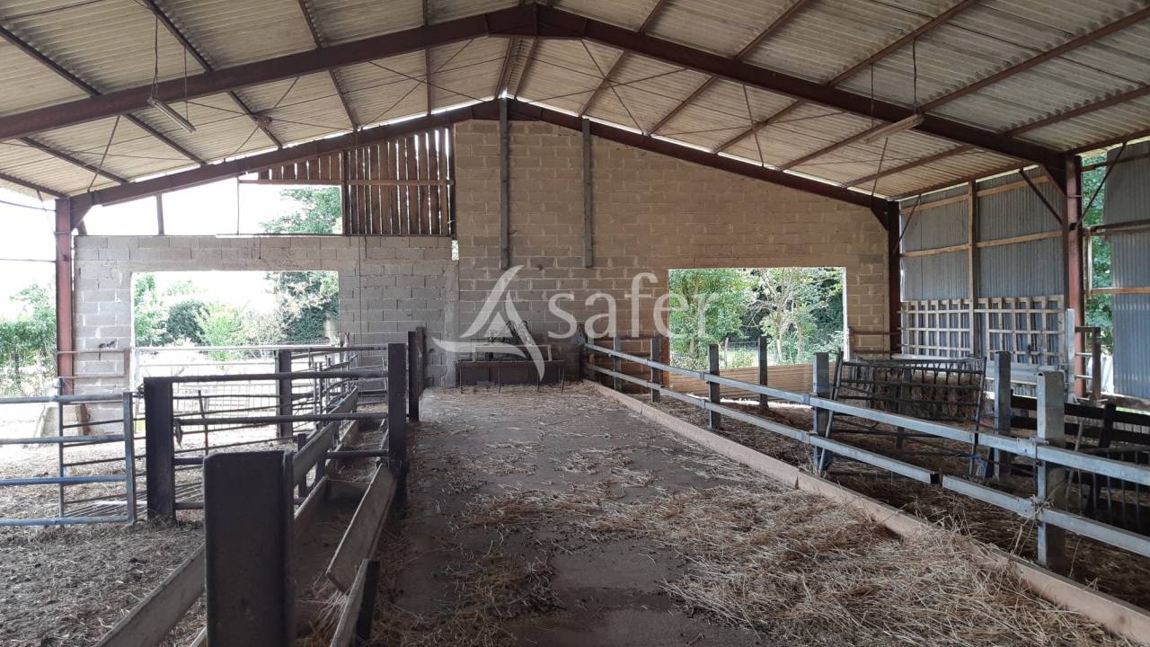 Azienda ovina In vendita Deux-S&egrave;vres
