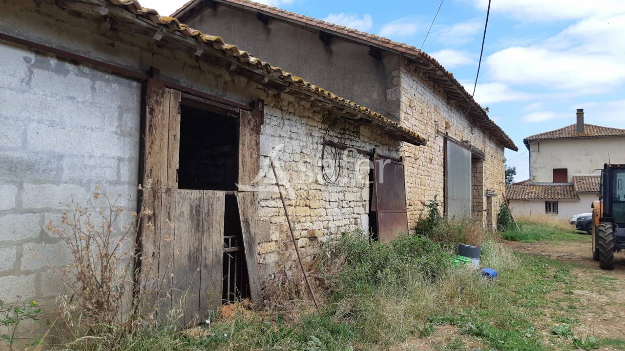 Azienda ovina In vendita Deux-S&egrave;vres