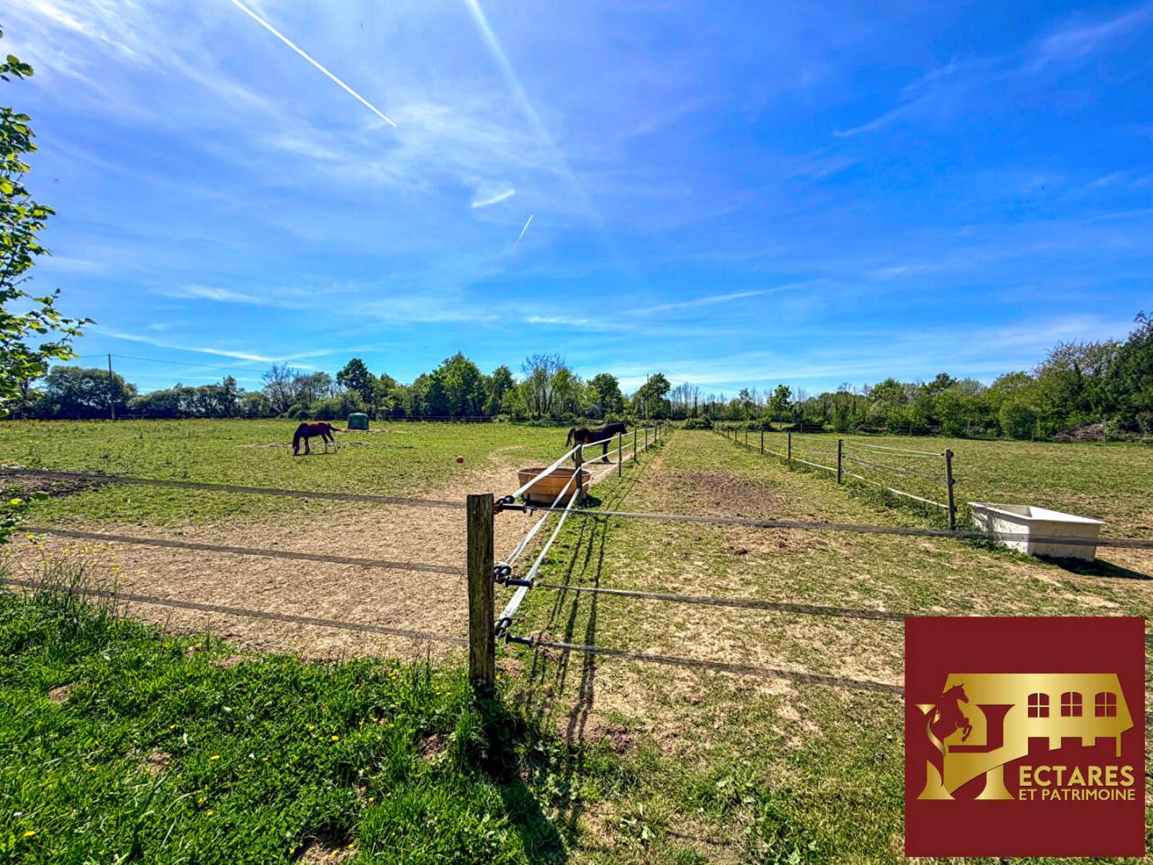 Propriet&agrave; equestre In vendita Loire-Atlantique