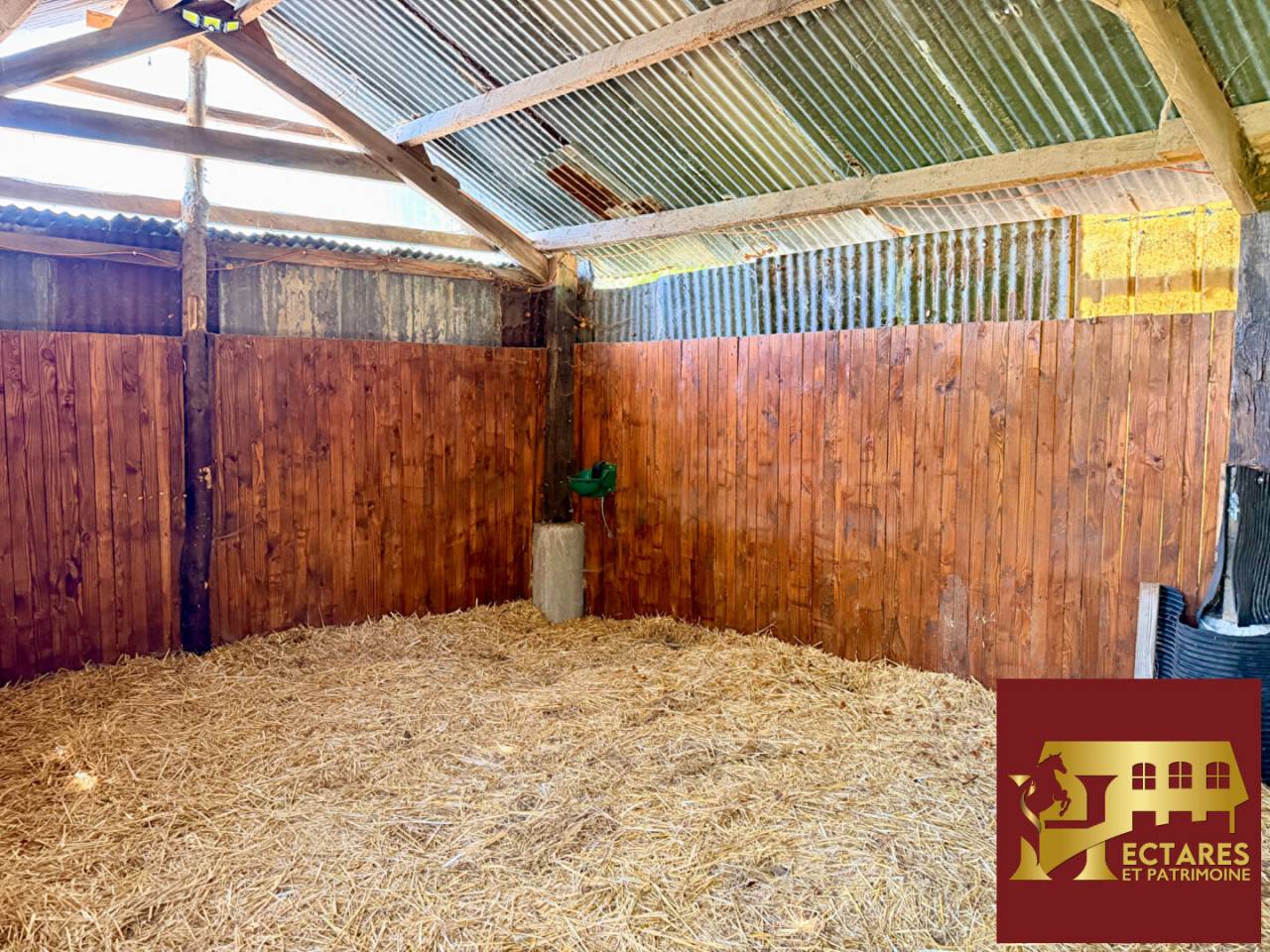 Propriet&agrave; equestre In vendita Loire-Atlantique