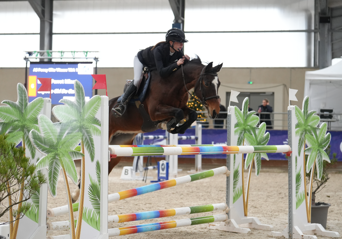 Cavalla PFS Pony Francese da Sella In vendita 2012 Baio