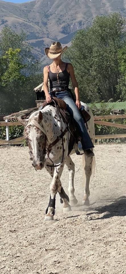 Castrone Appaloosa Leopard