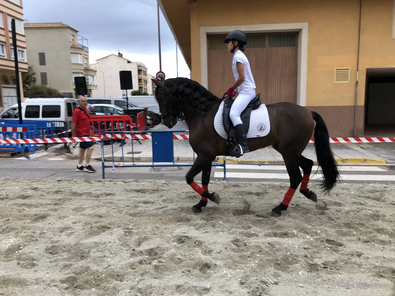 Castrone PRE Andaluso In vendita 2016 Altro colore ,  Fant&aacute;stico RB II