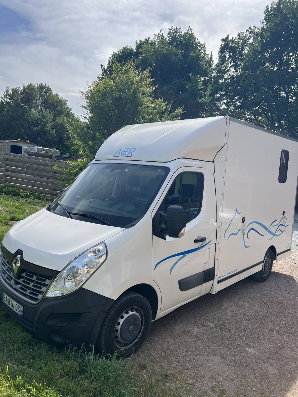 Van per Cavalli Renault Master 2018 Occasione
