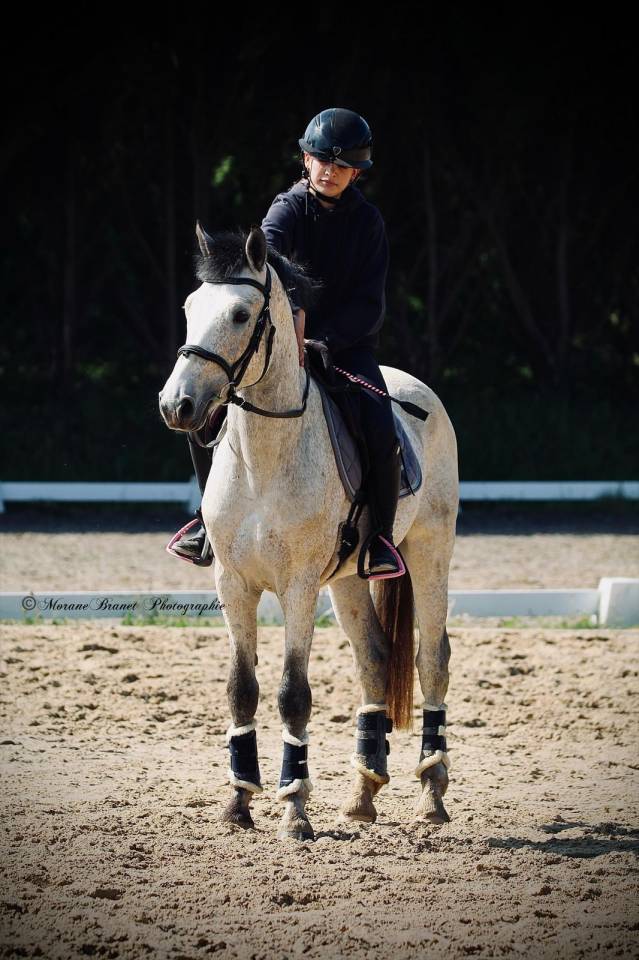 Intero PFS Pony Francese da Sella In vendita 2021 Isabella