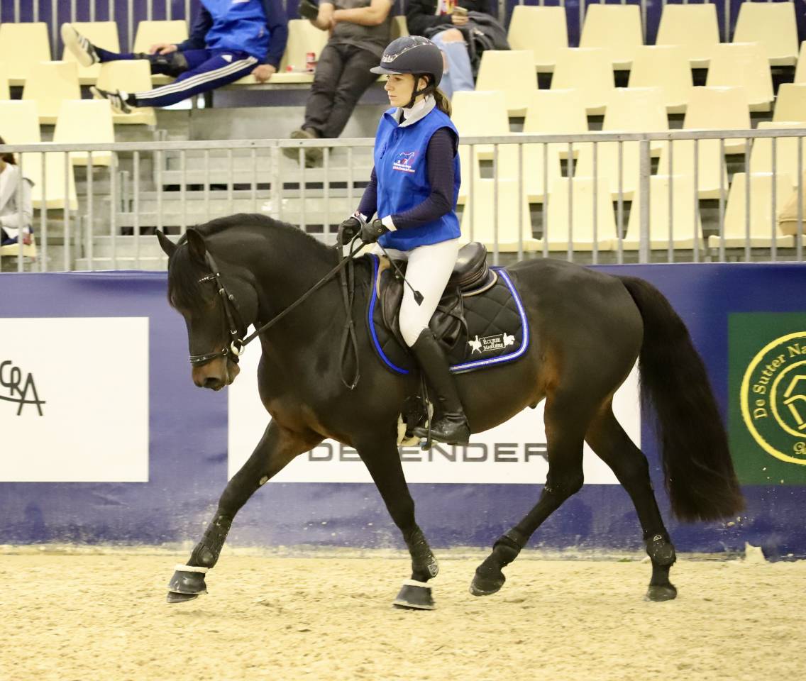 Intero PFS Pony Francese da Sella In vendita 2021 Isabella