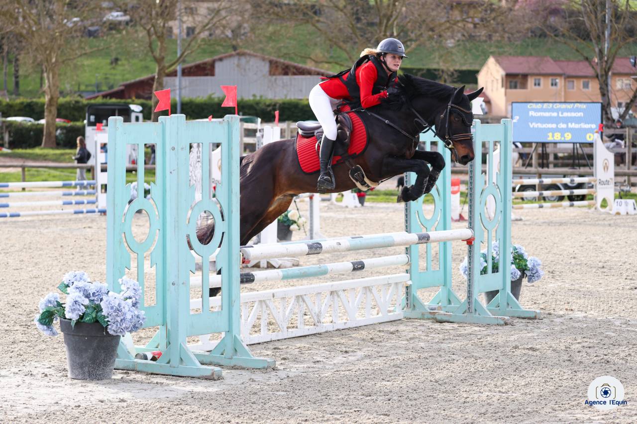Intero PFS Pony Francese da Sella In vendita 2021 Isabella