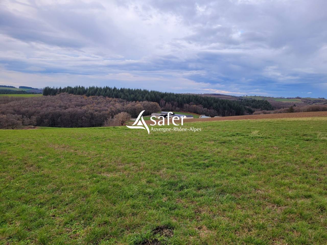 Azienda lattaia In vendita Cantal