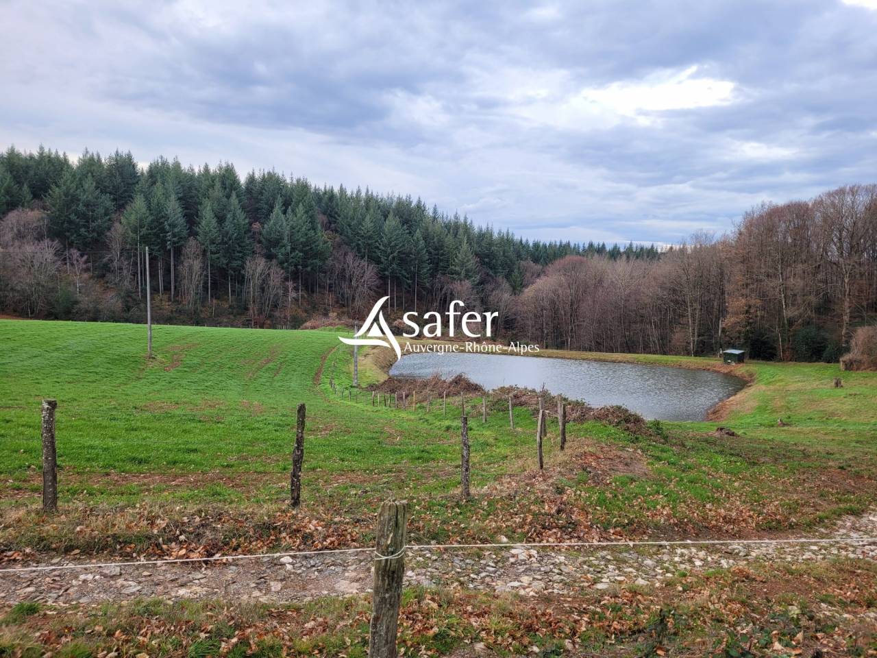 Azienda lattaia In vendita Cantal