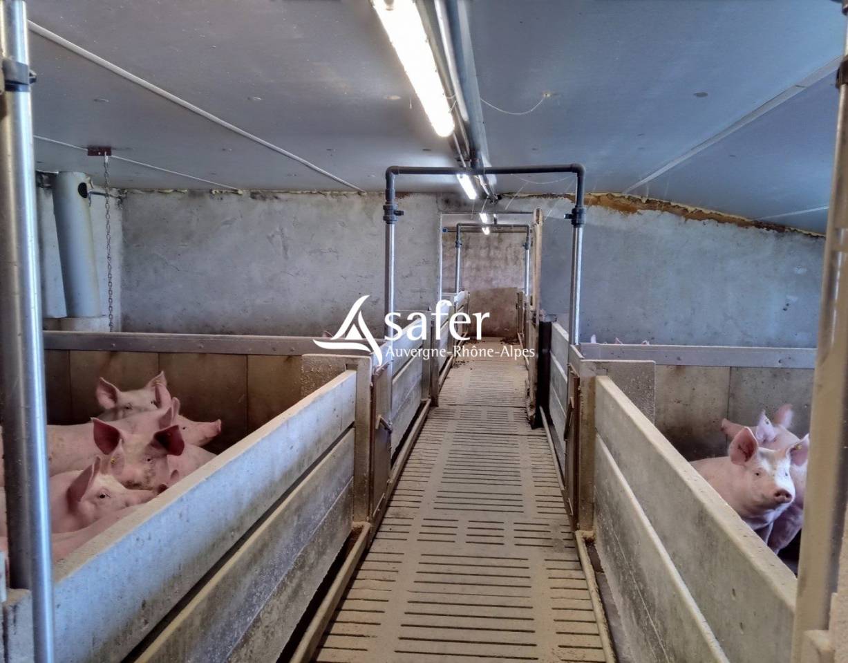 Azienda lattaia In vendita Cantal