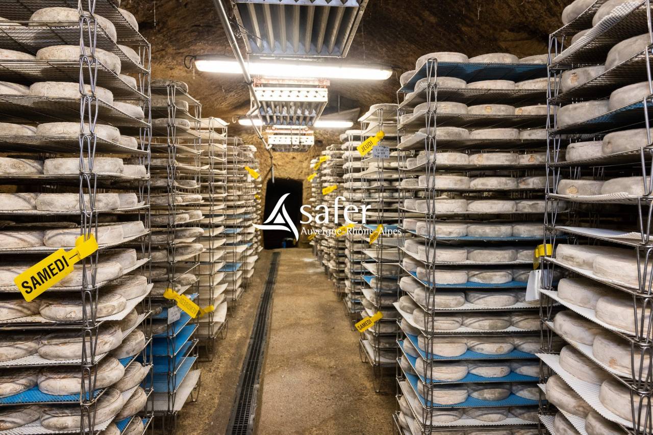 Azienda lattaia In vendita Cantal