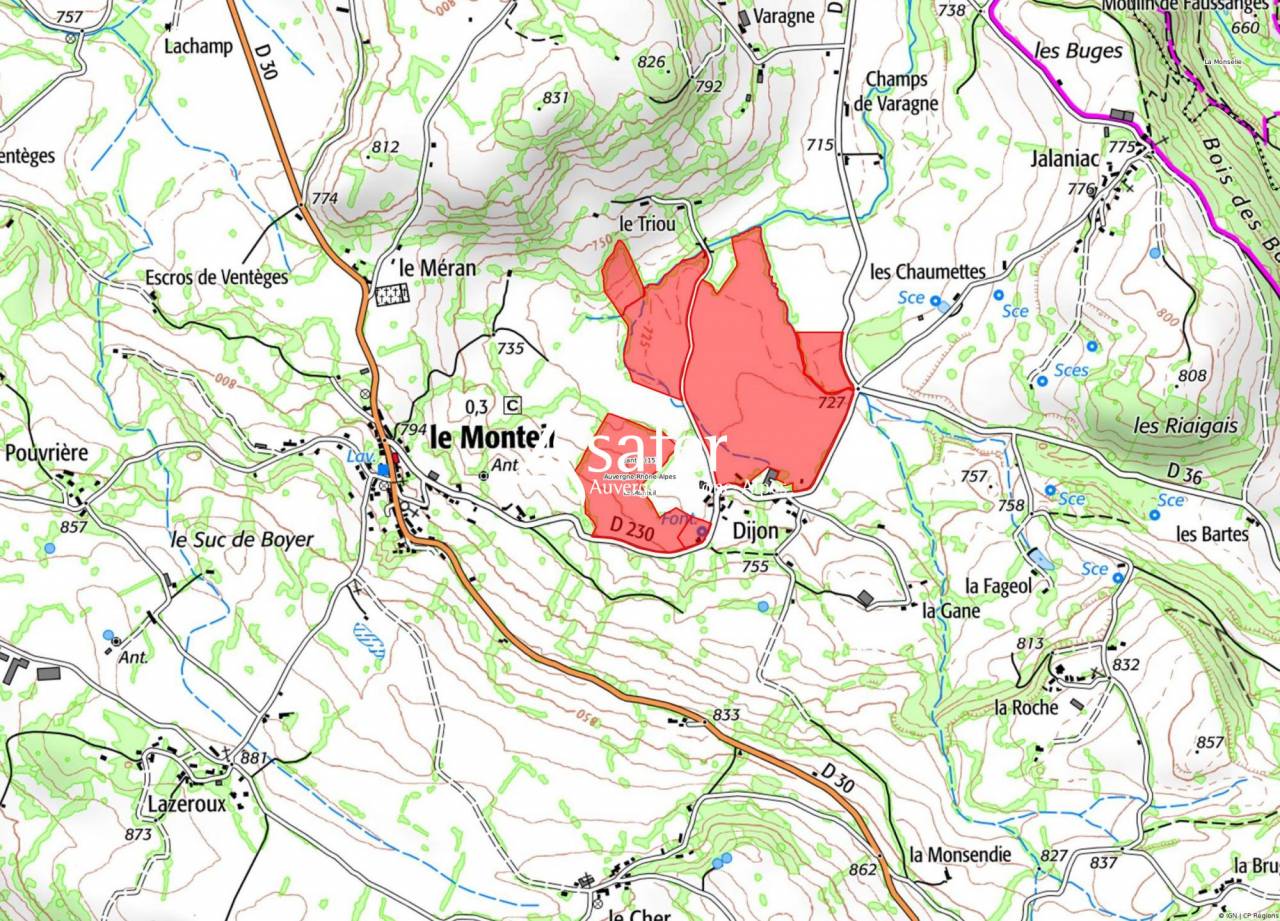 Azienda lattaia In vendita Cantal