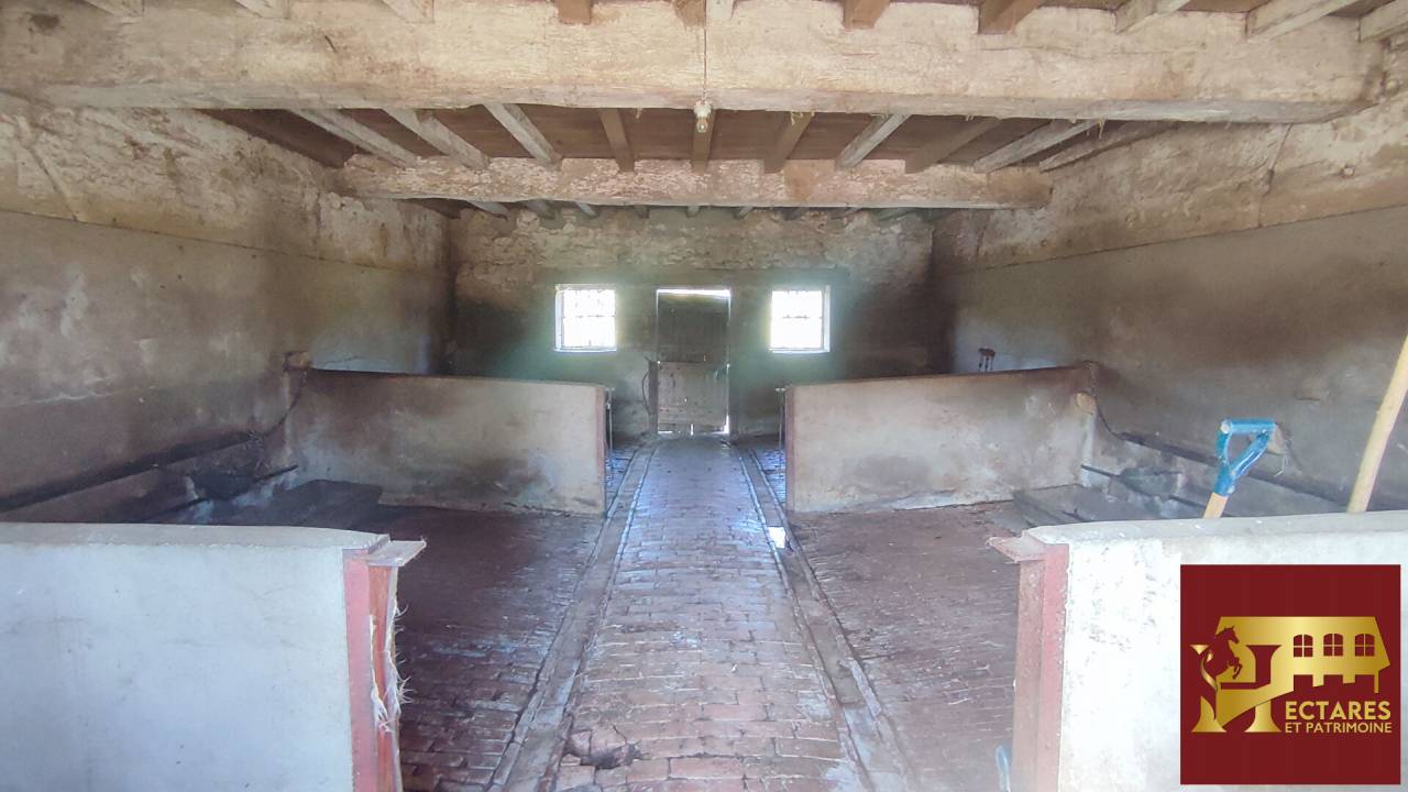 Alloggio equestre In vendita Ain