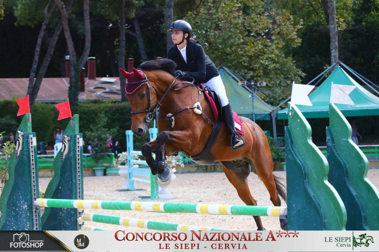 Mezza affida cavallo da salto ostacoli 