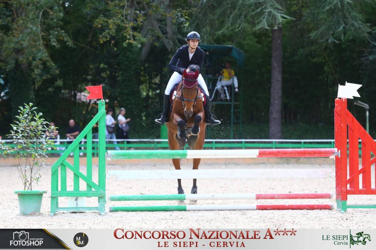Mezza affida cavallo da salto ostacoli 