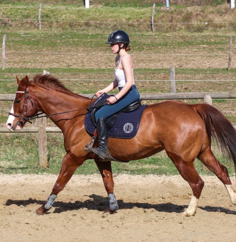 Castrone Paint Horse In vendita 2017 Sauro ,  Urban Dazzle Star
