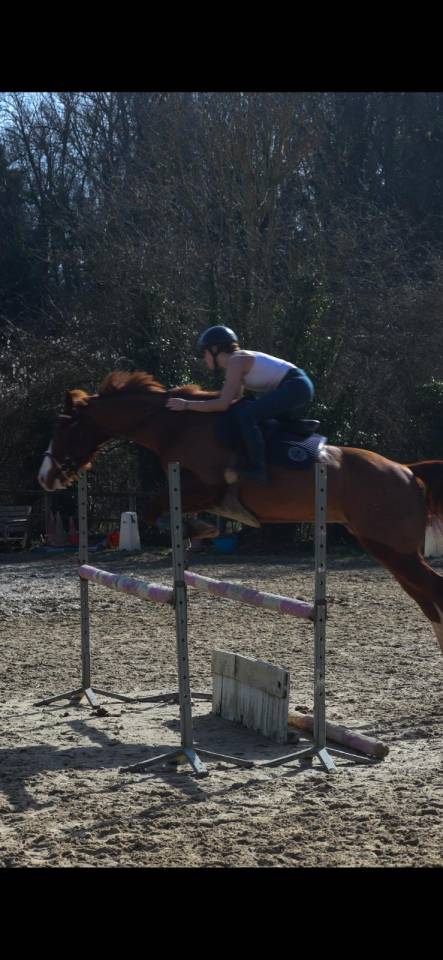 Castrone Paint Horse In vendita 2017 Sauro ,  Urban Dazzle Star