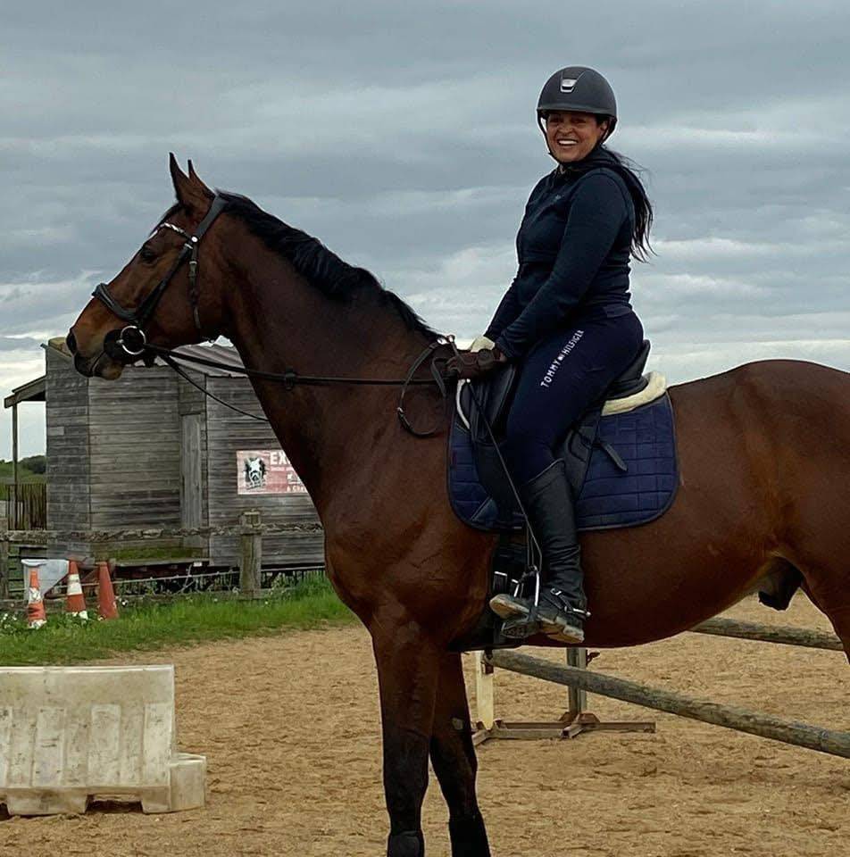 Castrone Zangersheide In vendita 2005 Baio ,  Diarado Holst Warmblut