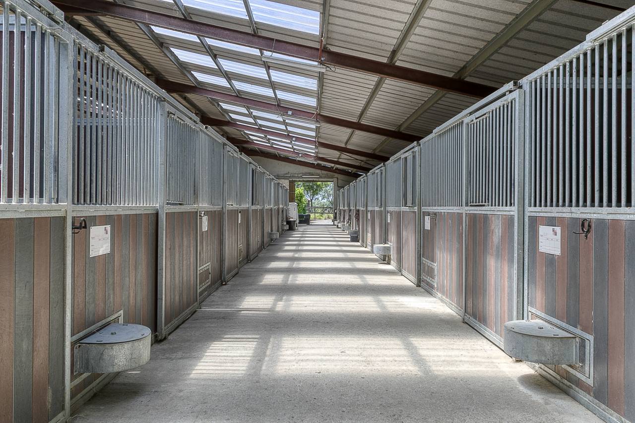 Centro di stagione cavallo In vendita Hautes-Pyr&eacute;n&eacute;es