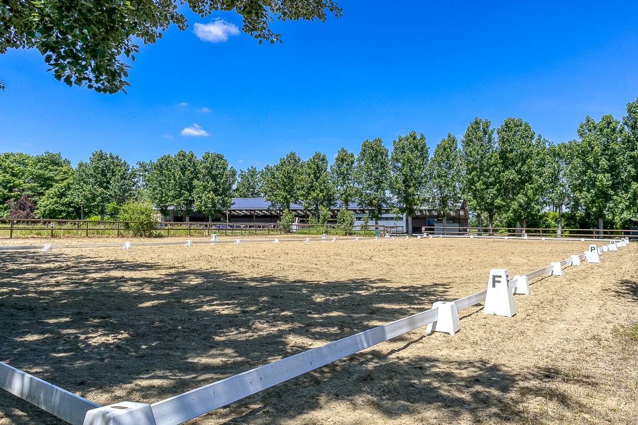 Centro di stagione cavallo In vendita Hautes-Pyr&eacute;n&eacute;es