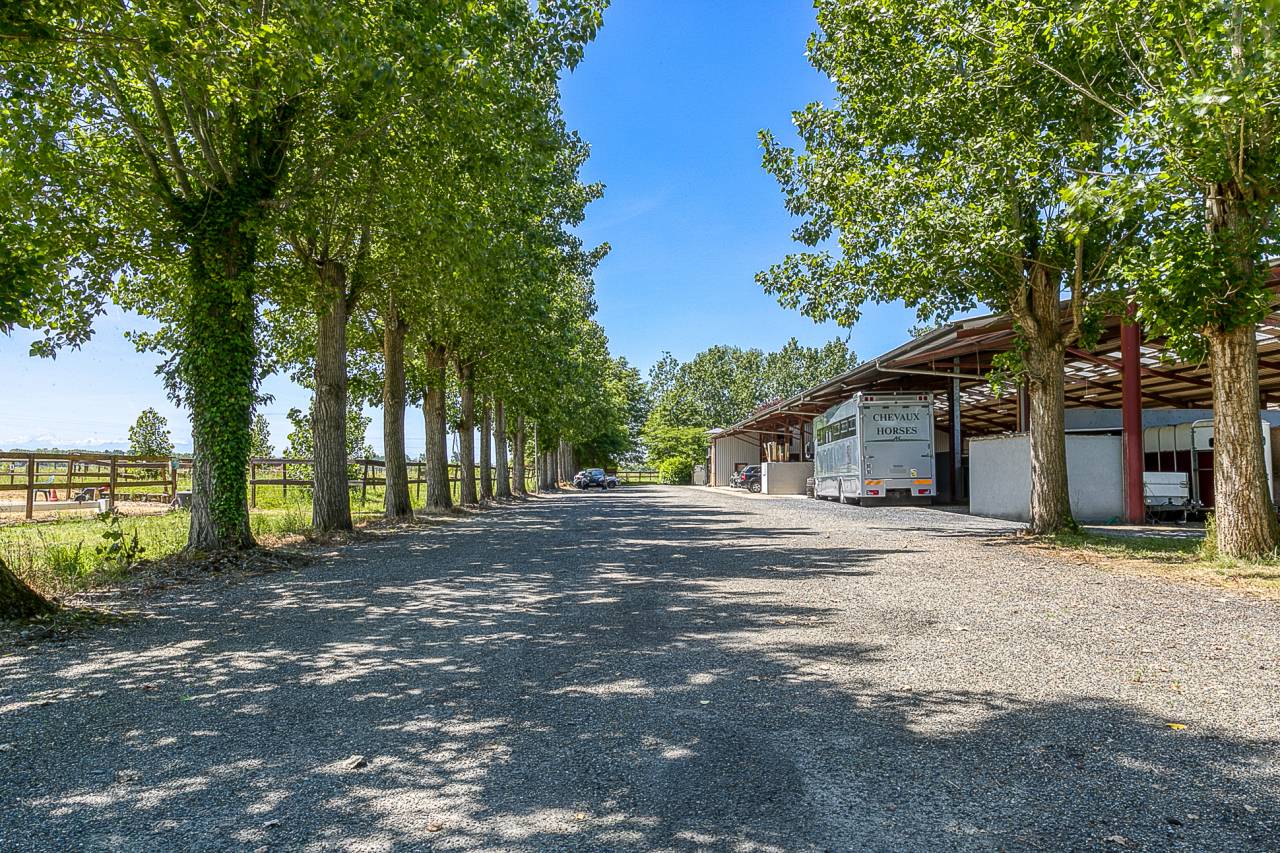 Centro di stagione cavallo In vendita Hautes-Pyr&eacute;n&eacute;es