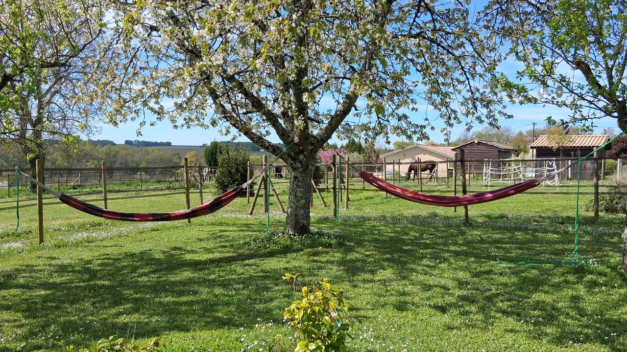 Bella dimora equestre In vendita Gironde