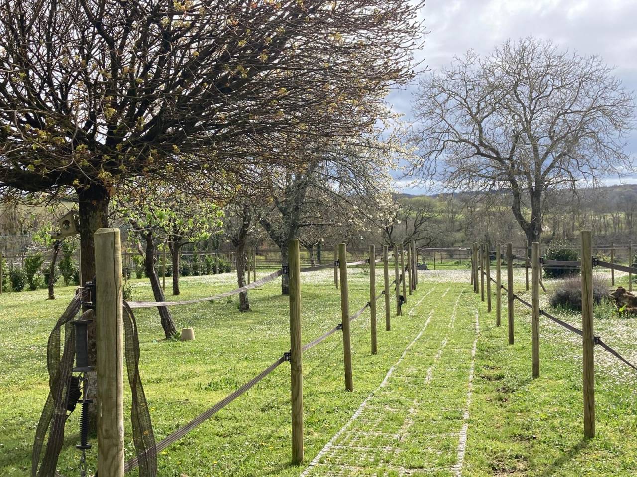 Bella dimora equestre In vendita Gironde