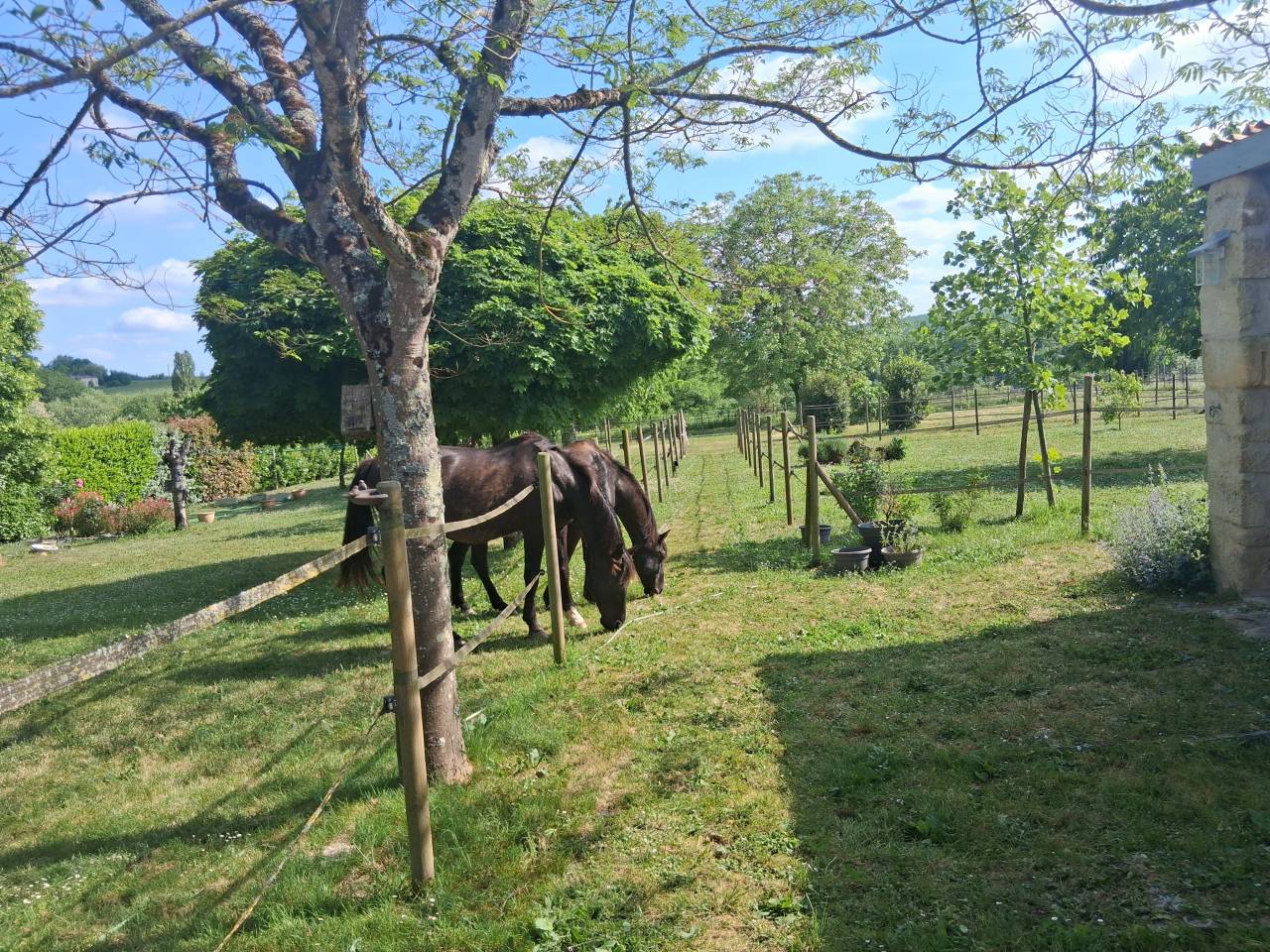 Bella dimora equestre In vendita Gironde