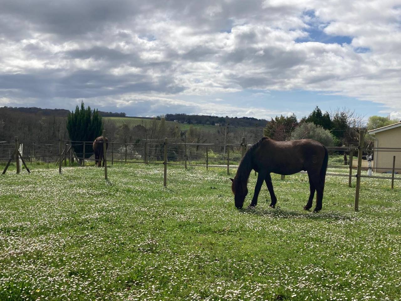 Bella dimora equestre In vendita Gironde