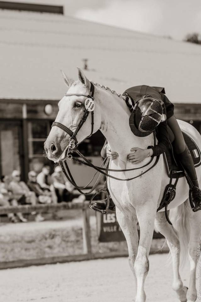 Castrone Lusitano In vendita 2012 Grigio