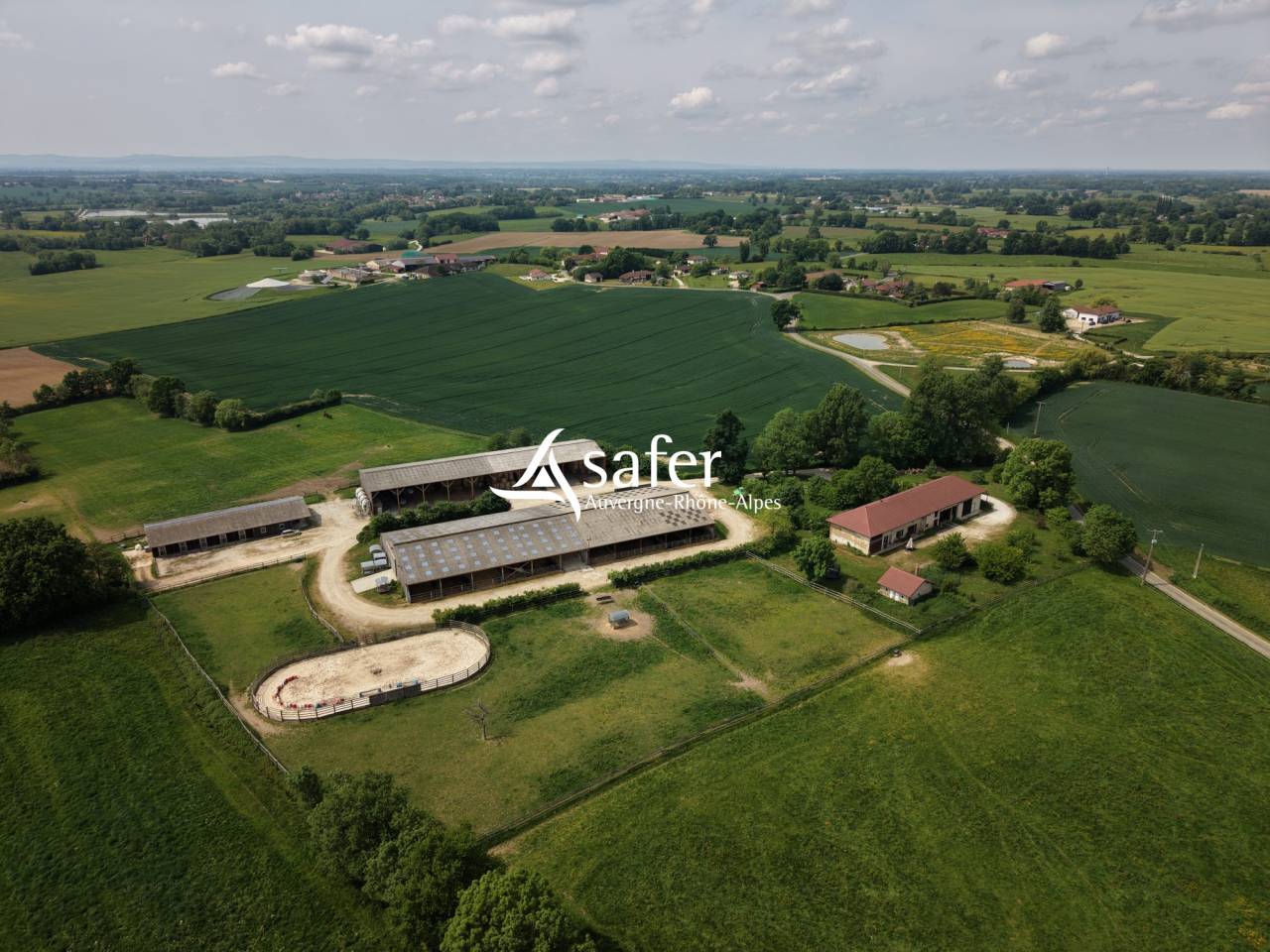 Azienda ovina In vendita Ain