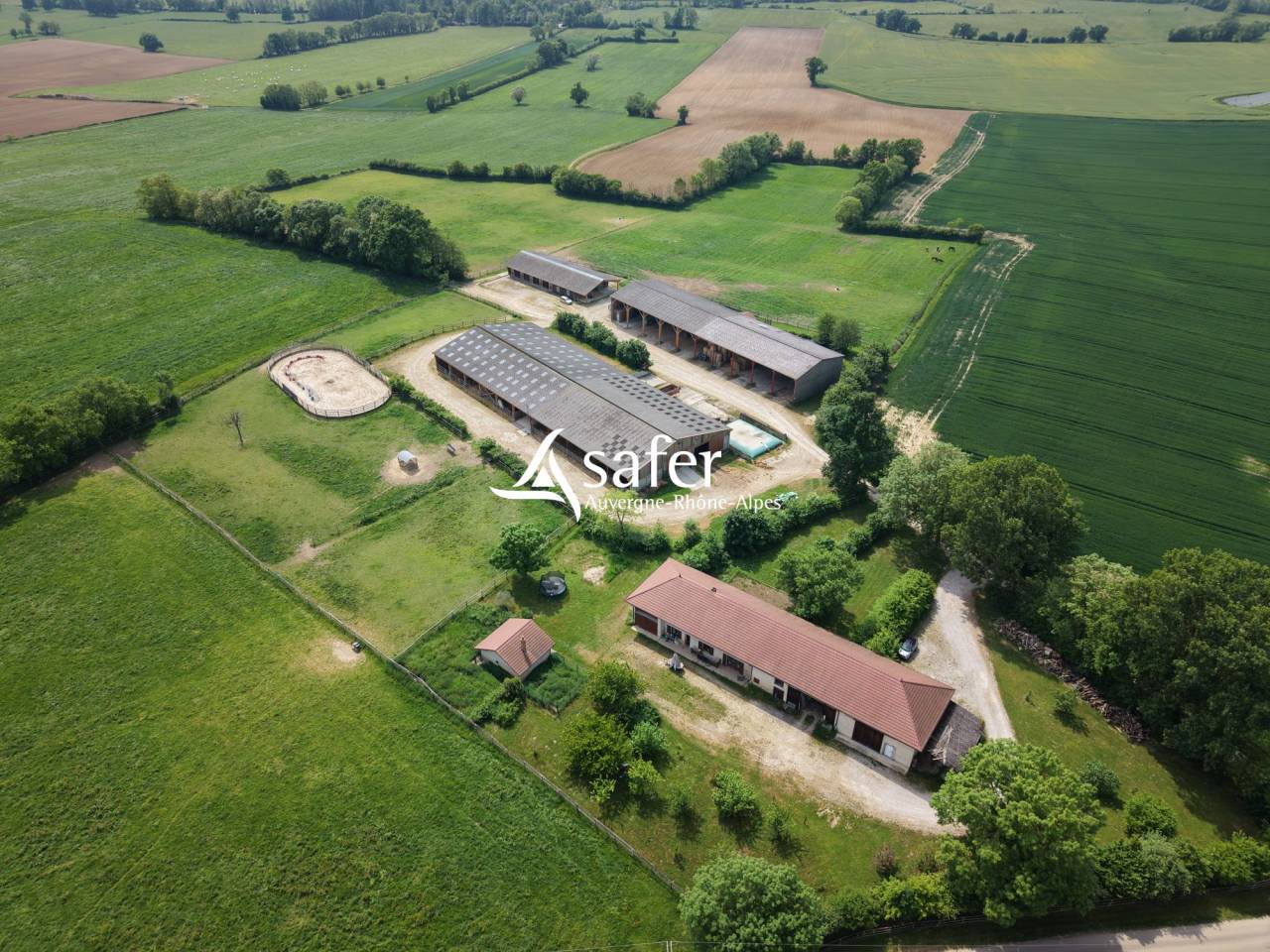 Azienda ovina In vendita Ain